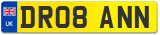 DR08 ANN