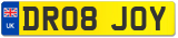 DR08 JOY