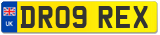 DR09 REX