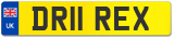 DR11 REX