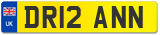 DR12 ANN