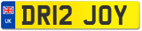 DR12 JOY