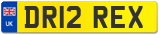 DR12 REX