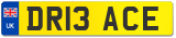 DR13 ACE