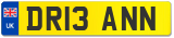 DR13 ANN