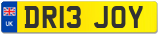 DR13 JOY