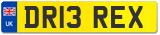 DR13 REX