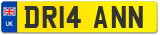 DR14 ANN