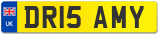 DR15 AMY