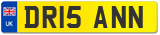 DR15 ANN