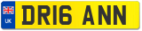 DR16 ANN