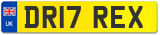 DR17 REX