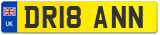 DR18 ANN