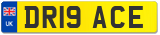 DR19 ACE