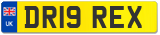 DR19 REX