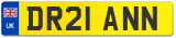 DR21 ANN