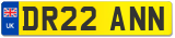 DR22 ANN