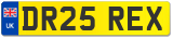 DR25 REX