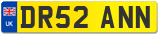 DR52 ANN