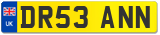 DR53 ANN