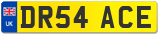 DR54 ACE