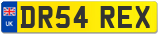 DR54 REX