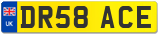 DR58 ACE