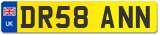 DR58 ANN