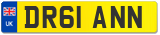 DR61 ANN