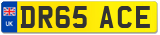DR65 ACE