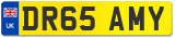 DR65 AMY