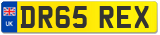 DR65 REX