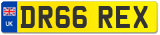 DR66 REX