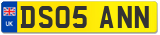 DS05 ANN
