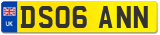 DS06 ANN