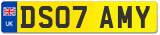 DS07 AMY