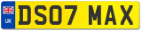 DS07 MAX