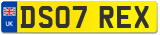 DS07 REX