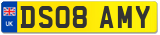 DS08 AMY