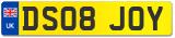 DS08 JOY