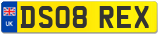 DS08 REX