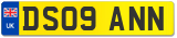 DS09 ANN