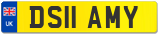DS11 AMY