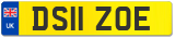 DS11 ZOE