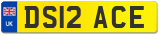 DS12 ACE