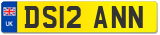 DS12 ANN