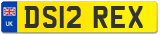 DS12 REX