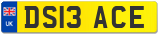 DS13 ACE