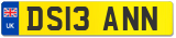 DS13 ANN