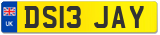 DS13 JAY